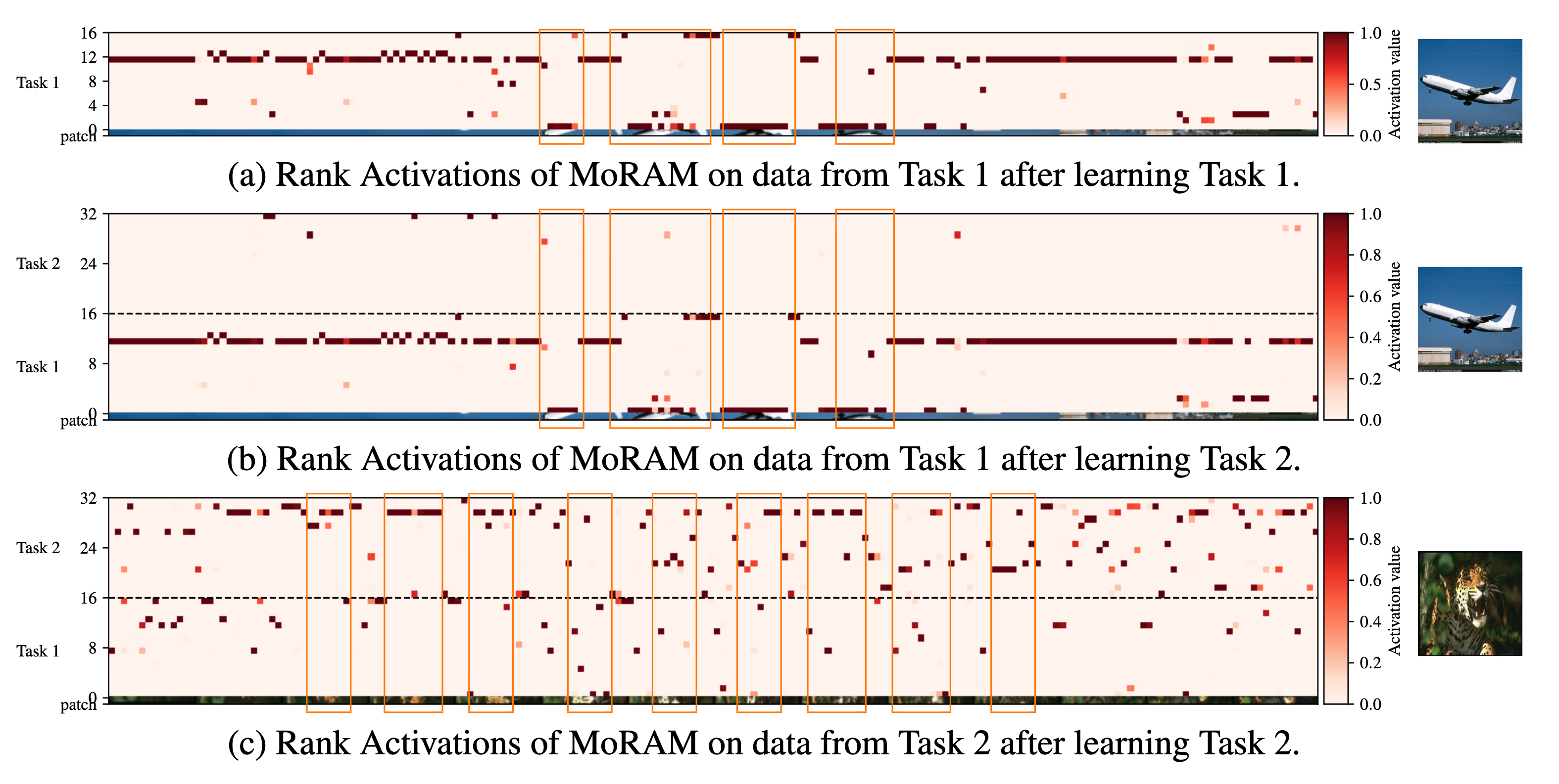 Visualization of MoRAM rank activations on Tasks 1 and 2 (Fig. 3)