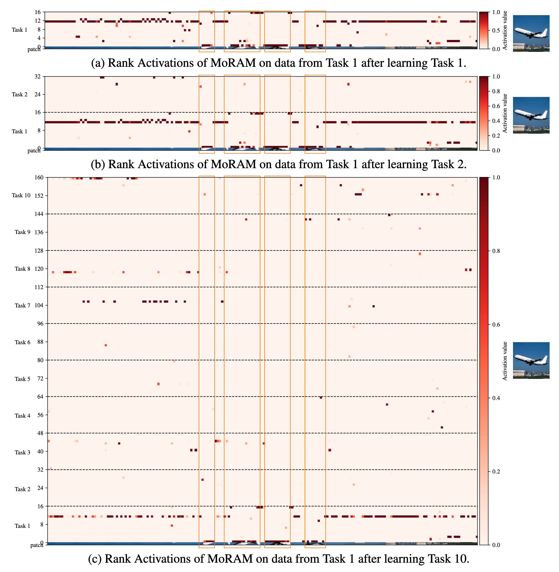 Extended rank-activation visualization: forgetting mitigation (Fig. 6)