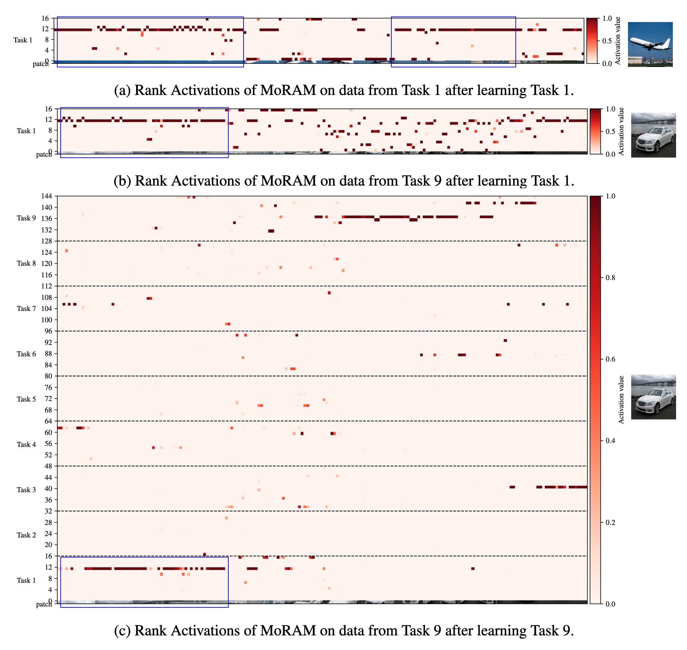 Extended rank-activation visualization: knowledge reuse (Fig. 7)